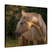 Load image into Gallery viewer, Tranquil Equine Eve | Canvas Gallery Wrap