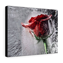 Load image into Gallery viewer, Frozen in Time | Canvas Gallery Wrap