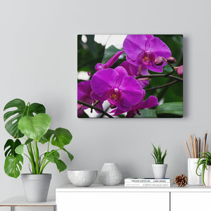 Purple Orchid Hues | Canvas Gallery Wrap