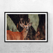 Load image into Gallery viewer, Antlers &amp; Attitude