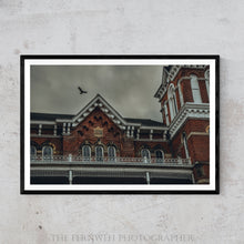 Load image into Gallery viewer, Asylum Est. 1868