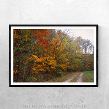 Load image into Gallery viewer, Autumn Road