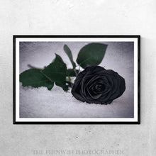 Load image into Gallery viewer, Black Ice Rose