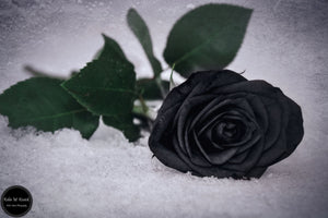 Black Ice Rose