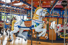 Load image into Gallery viewer, Bubbles the Carousel Horse