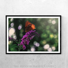 Load image into Gallery viewer, Butterfly Bokeh