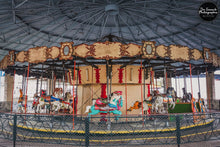 Load image into Gallery viewer, Carousel of Camden Park