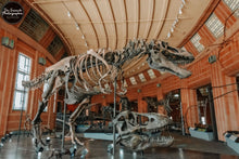 Load image into Gallery viewer, Cincinnati Dinosaur Hall
