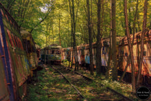 Load image into Gallery viewer, Defunct Train Forest