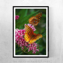 Load image into Gallery viewer, Double Butterflies