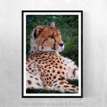 Load image into Gallery viewer, Elegant Cheetah