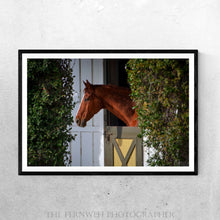 Load image into Gallery viewer, Equine &amp; Ivy