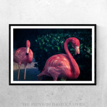 Load image into Gallery viewer, Flamingo Duo