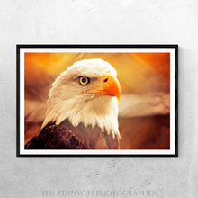 Load image into Gallery viewer, Golden Eagle