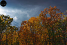 Load image into Gallery viewer, Gray Skies &amp; Autumn Golds