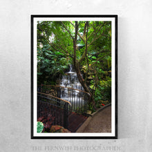 Load image into Gallery viewer, Krohn Conservatory Waterfall