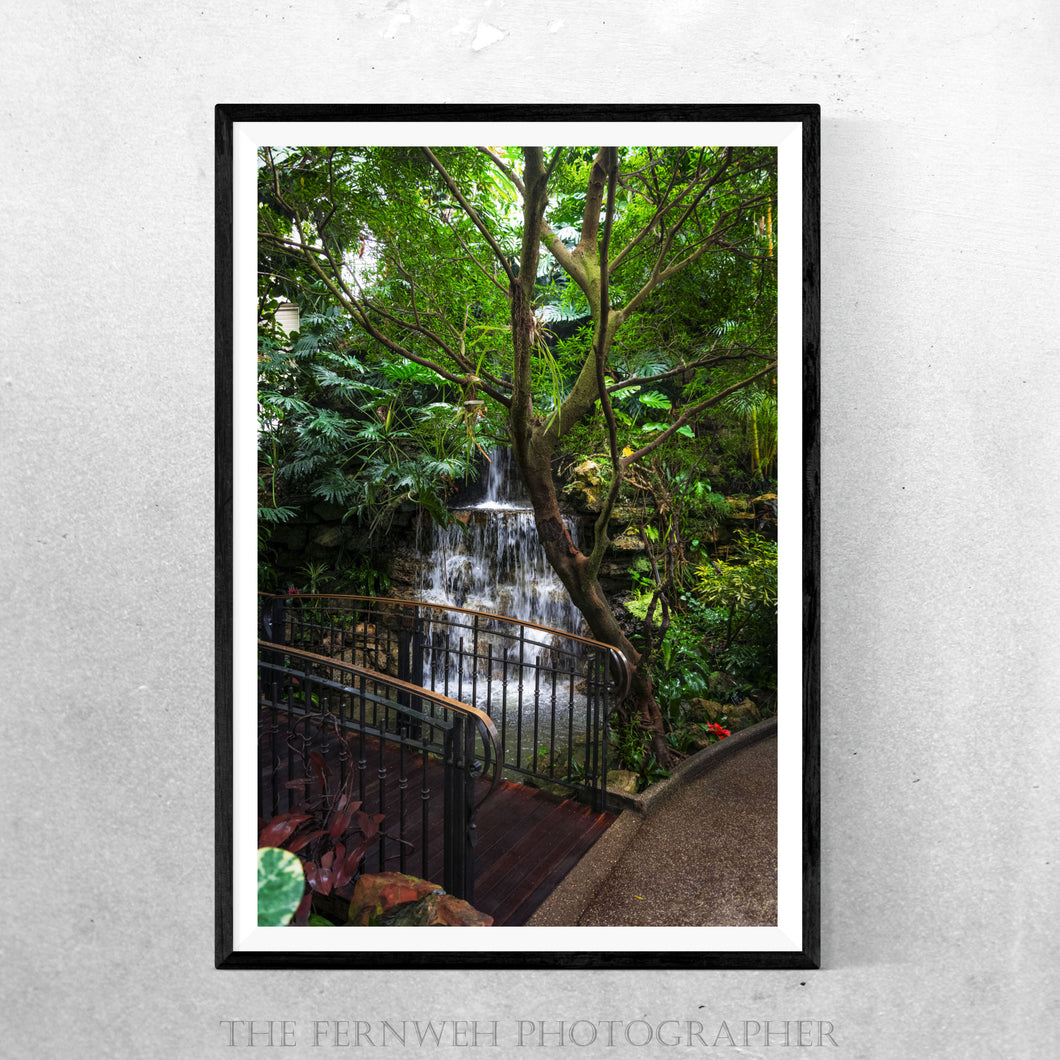 Krohn Conservatory Waterfall
