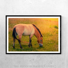Load image into Gallery viewer, Mongolia&#39;s Endangered Equine
