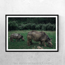 Load image into Gallery viewer, Mother &amp; Offspring Rhinos