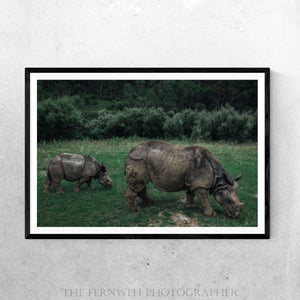 Mother & Offspring Rhinos