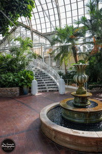 Palm House Fountain