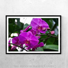 Load image into Gallery viewer, Purple Orchid Hues