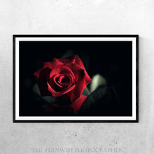 Load image into Gallery viewer, Red Velvet Rose