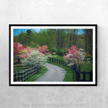 Load image into Gallery viewer, Spring Roadway