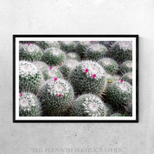 Load image into Gallery viewer, Tiny Spines &amp; Tiny Blossoms
