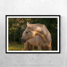 Load image into Gallery viewer, Tranquil Equine Eve