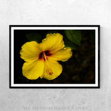 Load image into Gallery viewer, Tropical Yellow Hibiscus