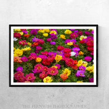 Load image into Gallery viewer, Vibrant Summer Flowers