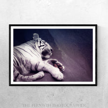 Load image into Gallery viewer, White Tiger Catnap