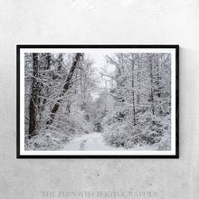 Load image into Gallery viewer, Winter Woodland