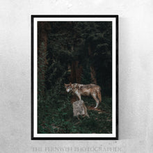Load image into Gallery viewer, Woodland Wolf