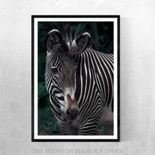 Load image into Gallery viewer, Zebra Tones