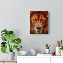 Load image into Gallery viewer, King of Beasts | Canvas Gallery Wrap