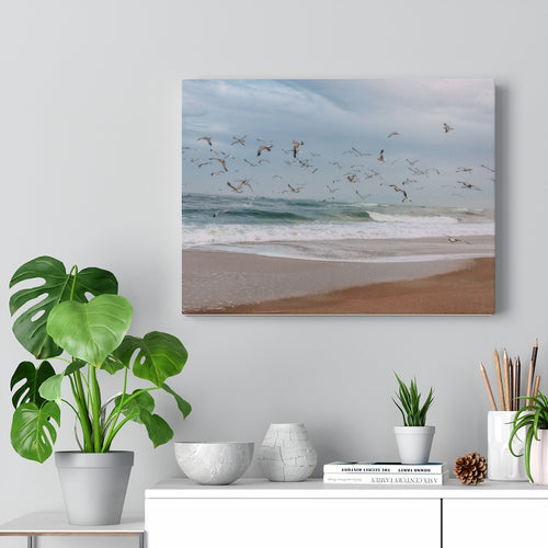 Seagulls Fly Out to Sea | Canvas Gallery Wrap