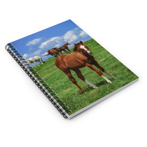 Foal in the Windy Meadow | Spiral Notebook