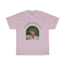 Load image into Gallery viewer, Equine in the Sand Dunes | T-Shirt