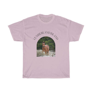 Equine in the Sand Dunes | T-Shirt