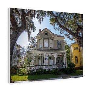 Lady & The Tramp House | Canvas Gallery Wrap