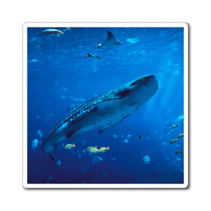 Graceful Whale Shark | Magnet