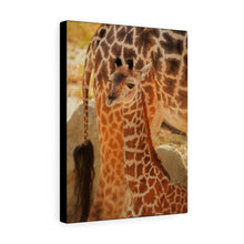 Load image into Gallery viewer, Camouflaged Giraffe Calf | Canvas Gallery Wrap