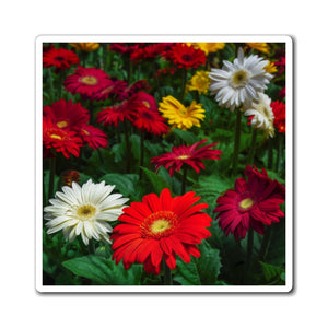 Colorful Daisies | Magnet