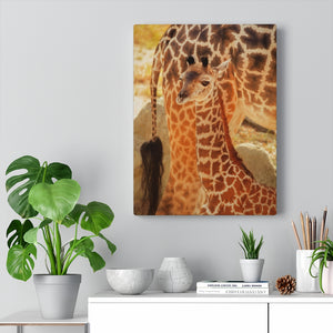 Camouflaged Giraffe Calf | Canvas Gallery Wrap