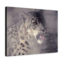 Load image into Gallery viewer, Cat Who Loves Snow | Canvas Gallery Wrap