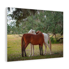 Load image into Gallery viewer, Cumberland Companions | Canvas Gallery Wrap