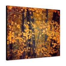 Load image into Gallery viewer, Autumn Forest Edge | Canvas Gallery Wrap