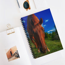 Load image into Gallery viewer, Equine Curiosity | Spiral Notebook